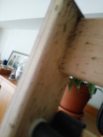 /album/fotogalerie/img-20160803-134711-1-jpg/